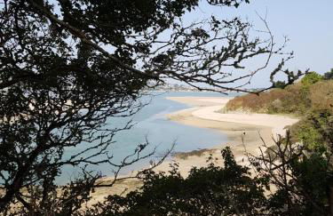 La p’tite maison de locqui - Photo 32