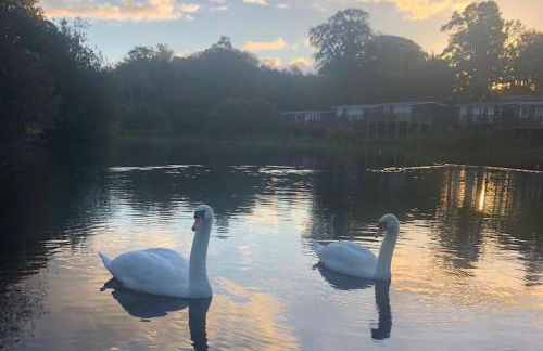 Lakeside Lodge 84 - Photo 24