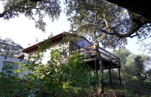 La Casa de Madera - Photo 18