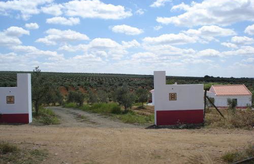 Horta do Muro - Foto 25
