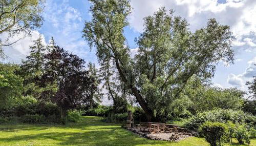 Bodden Breeze - Foto 4, Garden