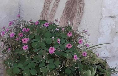 Brig'Gîte - Photo 19