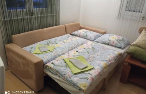 Yellow Rose - Foto 29