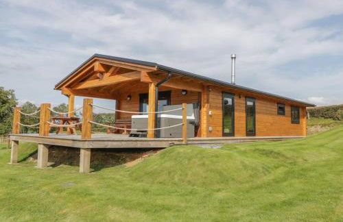 Bryn Eiddon Log Cabin - Photo 1