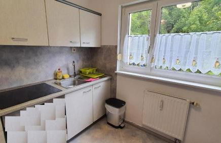 Two-Bedroom Apartment near Triberg Waterfall - Foto 19