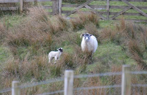 Corriemuckloch Unique Huts - Foto 29