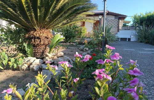 il giardino di Sofia Charm and Comfort Apartment - Foto 1