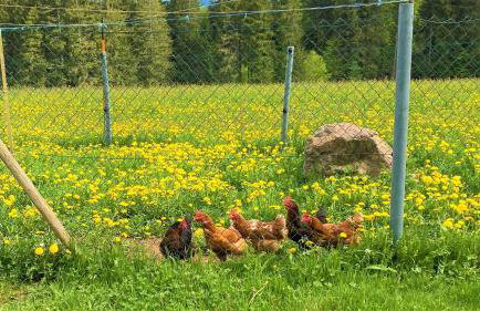 Süßen Häusle - Photo 33