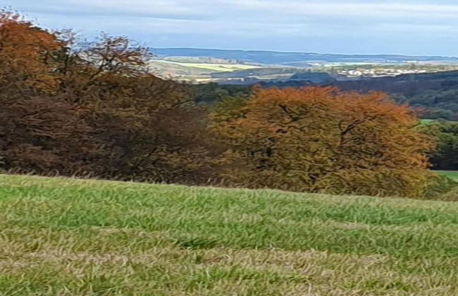 Regal Apartment in Pracht With Garden and Grill - Foto 29