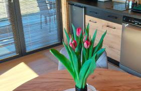 Domek Cichy Zakątek Beskid Niski - Foto 4