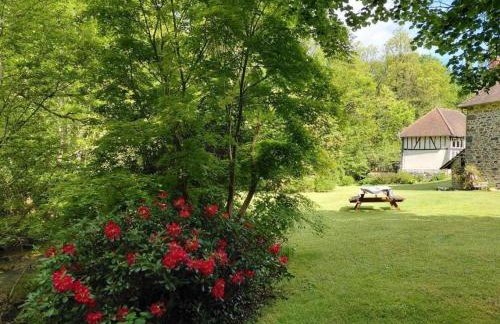 Le moulin - Foto 17
