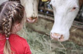 Brunnlochnerhof - Foto 30