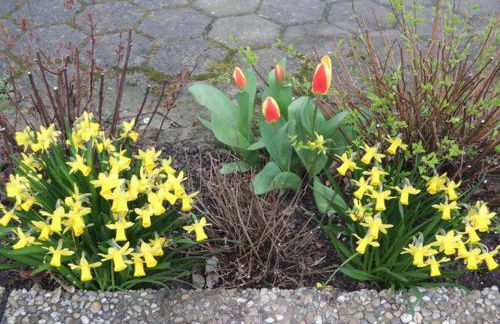 1 Mainblick Brigitte - Foto 20