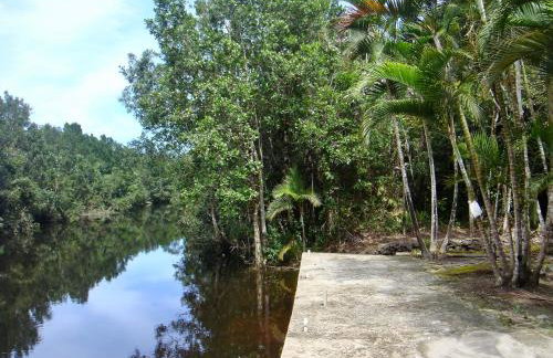 Casa Enorme para 12 pessoas, 4 suites e um fundo com 18mil metros de mata e um pier no rio que sai para o mar-Internet 100MB - Photo 32