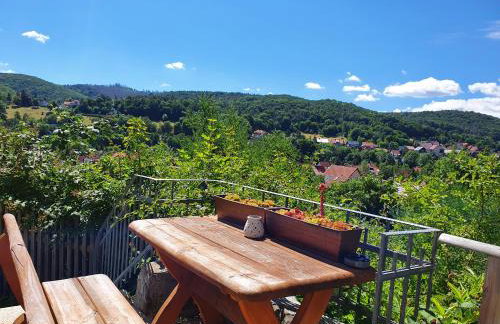 Apartments Villa-Ratskopf Wernigerode - Photo 127