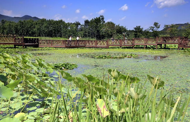 Haeyeorim Village - Foto 50