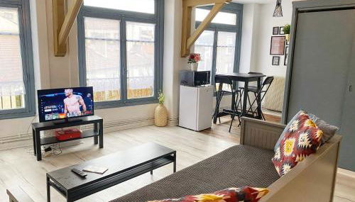 015 CHIC & COSY STUDIO 41m2 HYPERCENTRE WIFI SMART TV NETFLIX - Foto 4, towels, heating