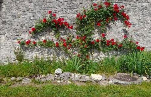 Gîte en Touraine: Campagne, 3 Chambres, Près de Chenonceau - FR-1-381-121 - Photo 31
