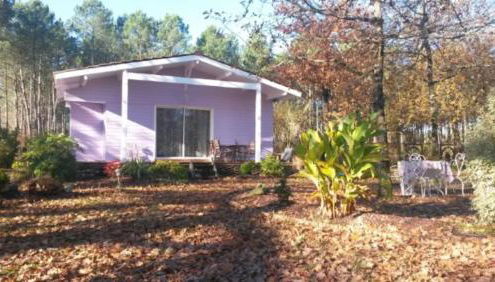 Joli Petit Chalet La Cote d'Argent - Foto 4