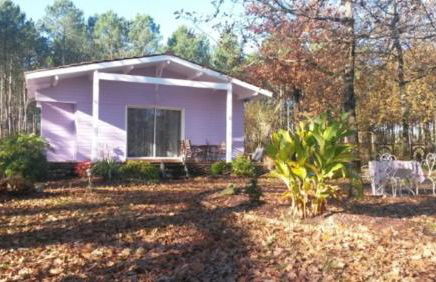 Joli Petit Chalet La Cote d'Argent - Foto 4