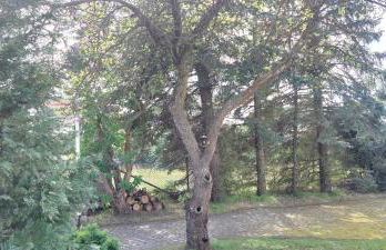 Ferienwohnung an der Zuckerstraße - Foto 6