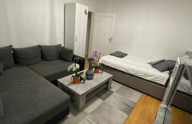 Apartment city Frankfurt Room Agancy - Foto 8