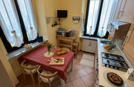 i tulipani - Foto 14