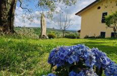 Casa Vetrialla I - Foto 21