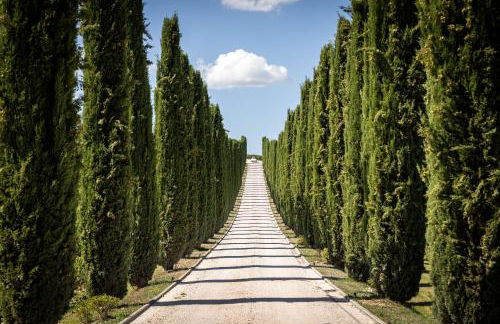 Fattoria Colsanto - Foto 1