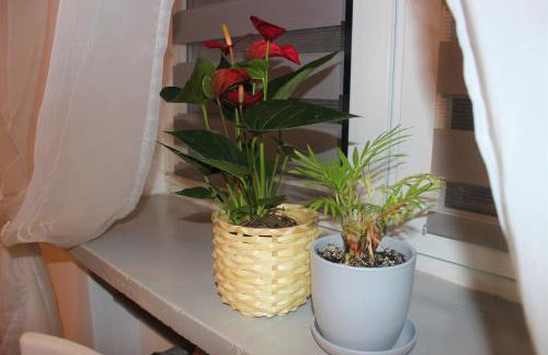 Dom Warszawa/Legionowo - Foto 9