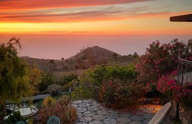 ALPALMA casa & jardín - Foto 15