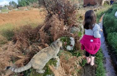Quinta da Peça Douro Wine Region Retreat, Private Pool Villa - Foto 47