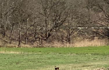 Hus Heideblick -zwischen Natur und Nordsee- - Foto 24