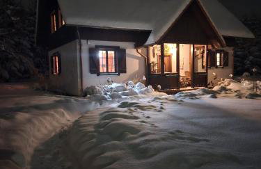 Siedlisko w Starym Sadzie - Foto 1