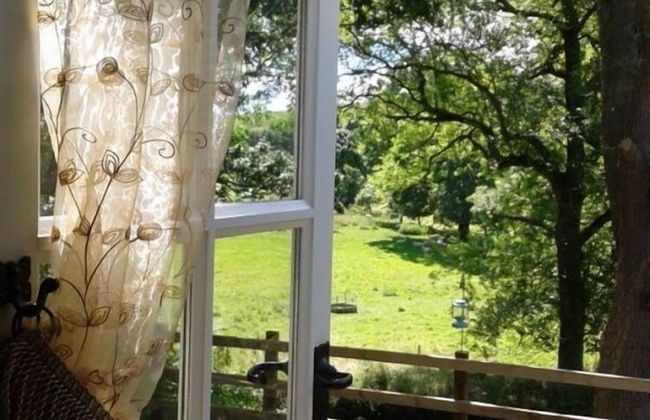 Posh Huts - Photo 14