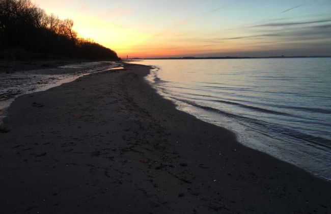 Bolliger Modern Retreat - Foto 14