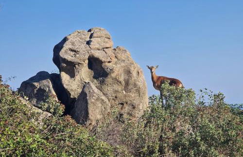 Casa nel Bosco, un oasi di pace - Foto 17