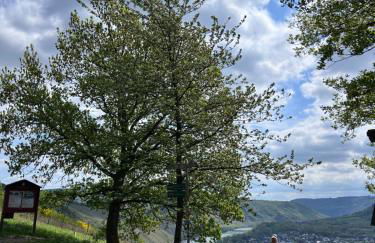 Happy Place Ferienwohnung mit Moselpanoramablick, Dachterrasse und Sauna - Foto 29