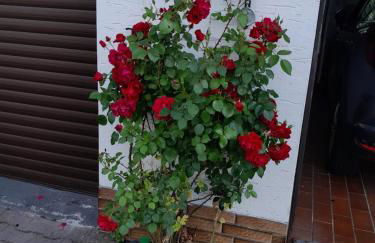 Casa Natur - Foto 24