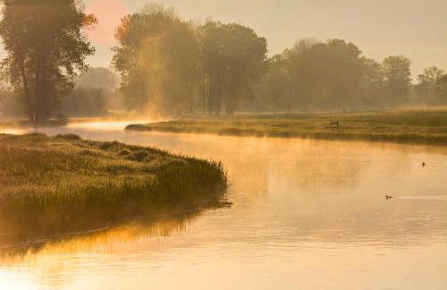 WoodenHouse with two Apartments - Foto 59