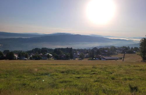 Mitterdorf - apartmán Almberg - Foto 19