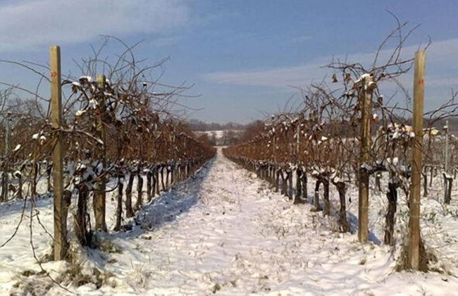 Agriturismo Caspineda - Foto 25