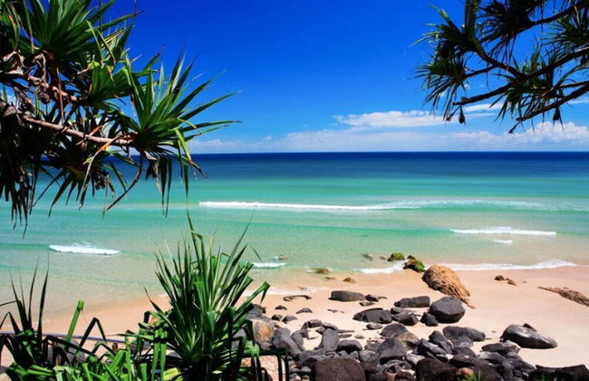 Lovely 1 Bedroom Apartment Steps to the Beach - Photo 11