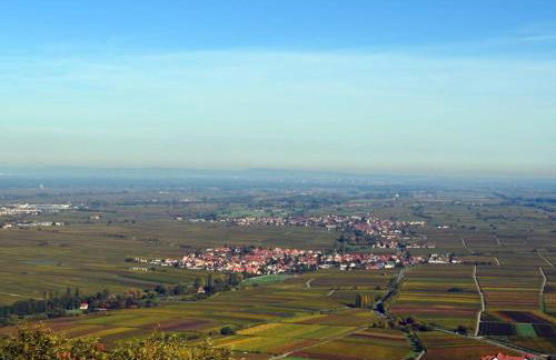 Palatinate Forest Comfortable holiday residence - Foto 16