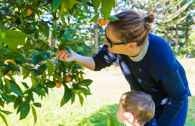 Trade Winds Country Cottages - Foto 26