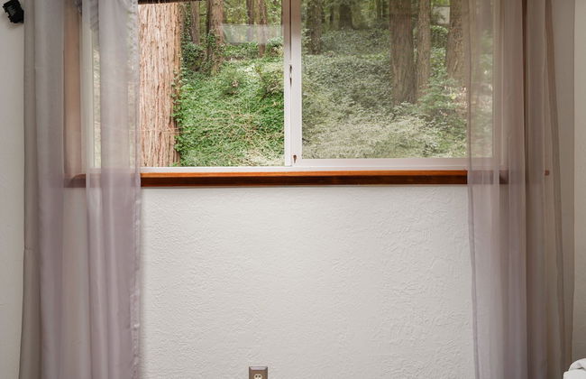 Pacific Coast Redwoods Cabin for Family - Foto 17