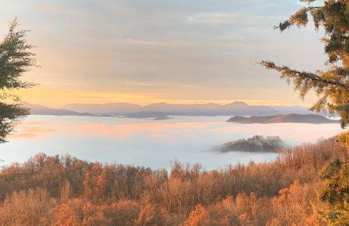 Ca' Inua - arte, bosco, ospitalità - Photo 14