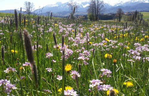 Ferienhaus Mayr - Ferienwohnung Bergblick - Foto 25
