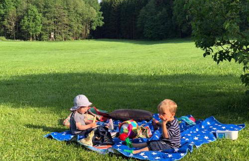 Ferienhof Schmalzgrub - Foto 21