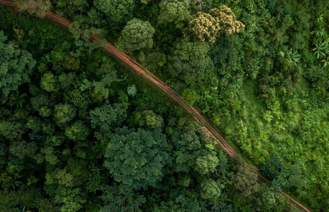 Tour di 4 giorni nel nord del Rio delle Amazzoni - Foto 9